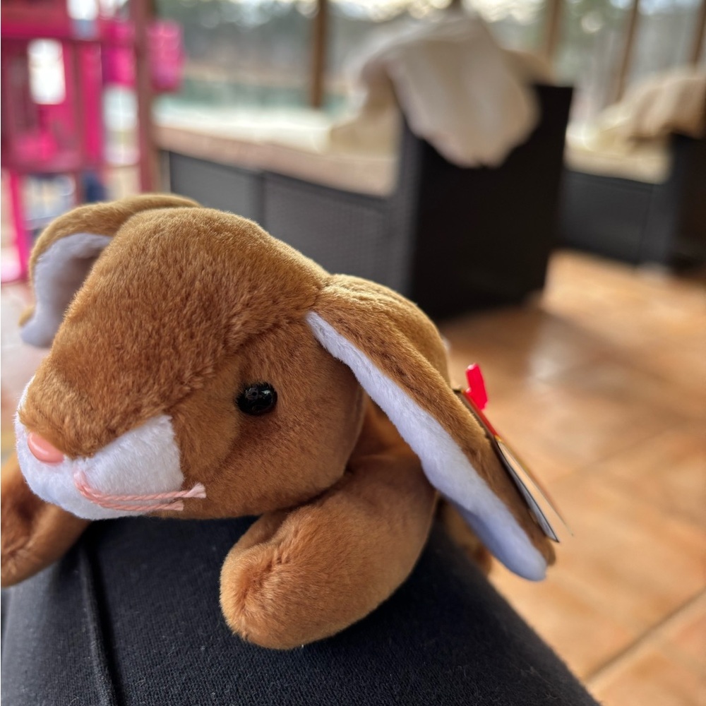 Ears the Ty beanie